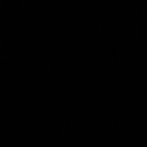 Meet your Posher, Tommy